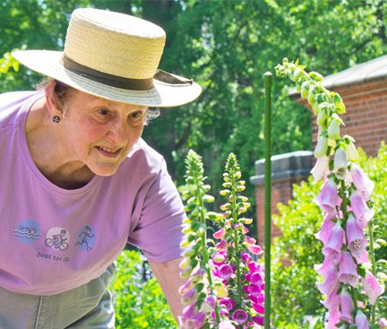 Volunteer Kathleen "Kate" McGrann tends foxgloves at the Pennsylvania Hospital Physic Garden. (Photo courtesy of Penn Medicine)